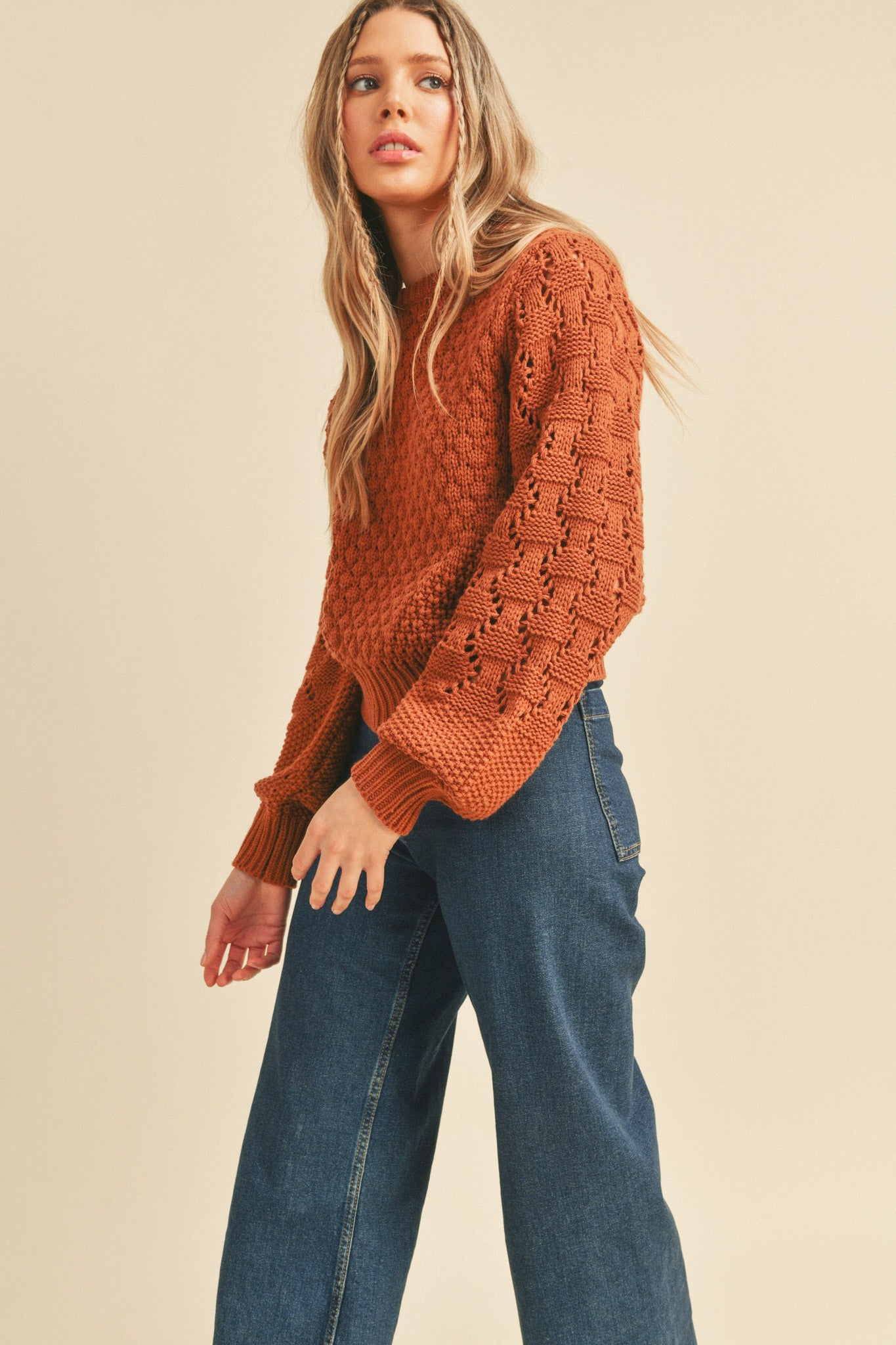 Knit Mix Puff Sleeve Pointelle Knit Top