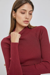 Burgundy Ribbed Fitted Mock Neck Long Sleeve Dress